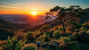 Grande Sertão: Veredas Explicado – Uma Jornada Filosófica Pelo Sertão